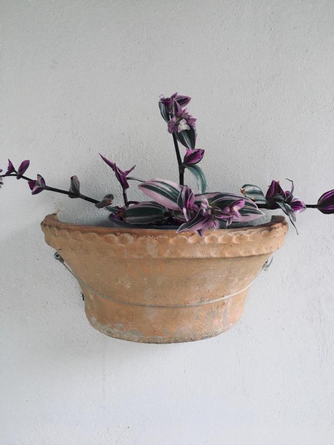 شقة Wabi Sabi Katastárion المظهر الخارجي الصورة